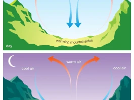 The Breeze Airlines Experiment: How It's Reinventing Air Travel and What It Means for the Future