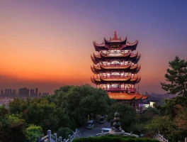 Wuhan: What happened and what we know