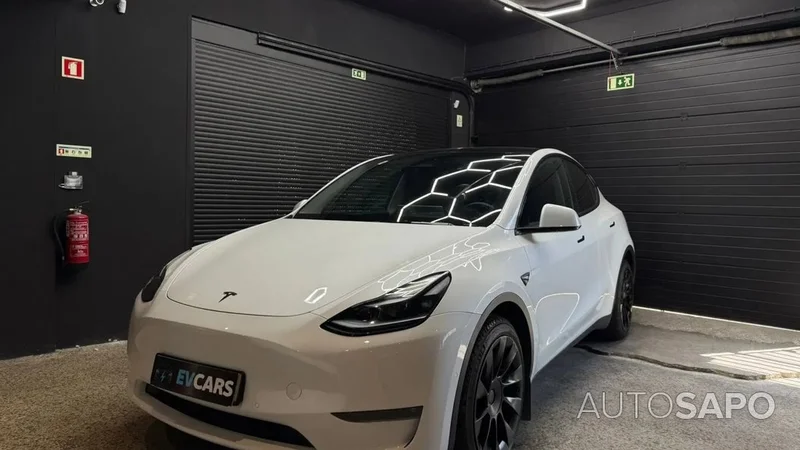 Tesla: The Trillion-Dollar Question